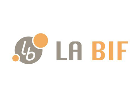 LA BIF logo with orange and grey design elements